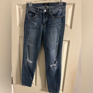 Judy Blue Distressed Skinny Jeans - Blue